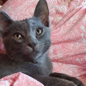 Meet your Posher, Tami